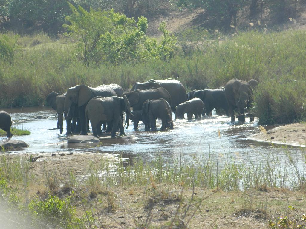 Suedafrika (221)